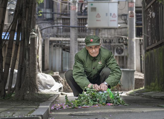 摄影新手如何取景才能拍出大片？这7个取景技巧你会多少？(图3)